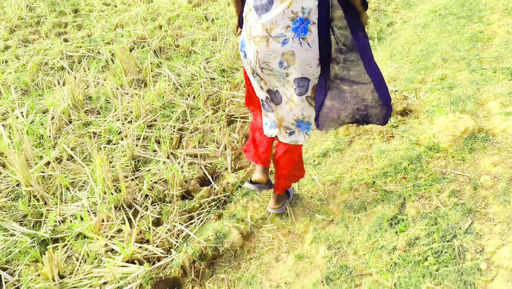 Fucked Stepsister While Walking in the Field | Ankush Raj