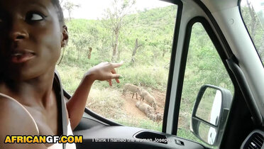 Ebony GF Can't Wait, Demands To Suck My Dick On Safari